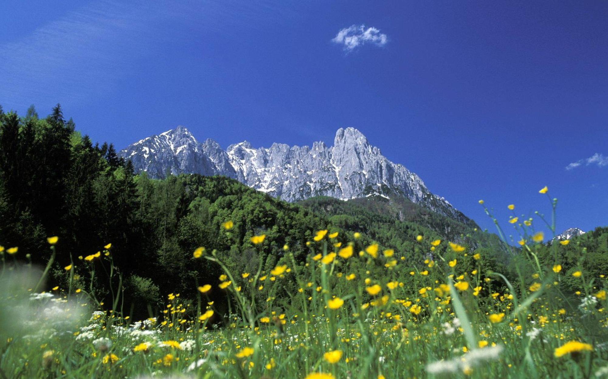 Landhaus Foidl St. Johann in Tirol Exterior foto