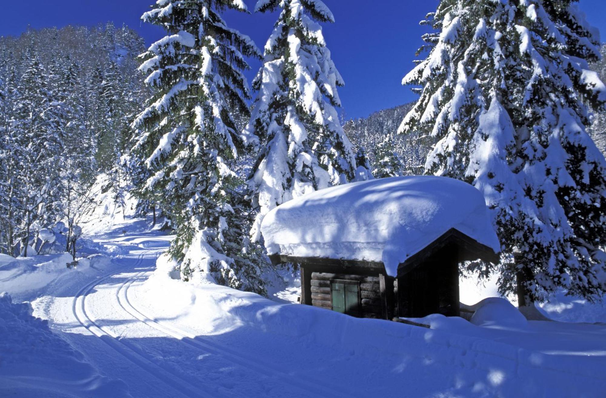 Landhaus Foidl St. Johann in Tirol Exterior foto
